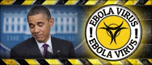 WHICH IS THE MORE DEADLY?