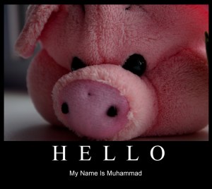 muhammedpig-vi