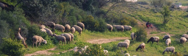 The Lord is my Shepherd