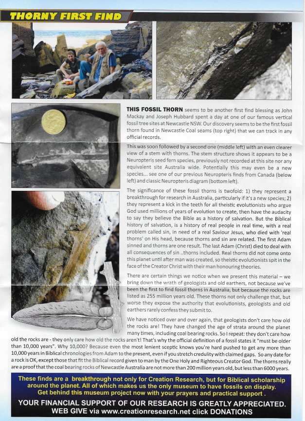 Thorny First Find Creation Research