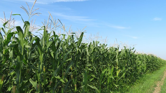 cornengineering-1000x563-Stage