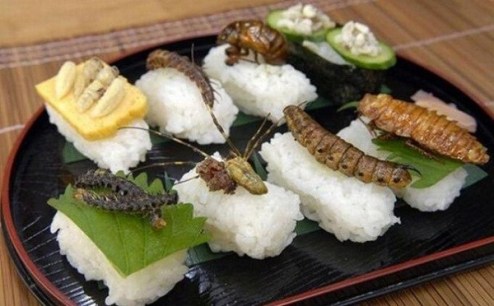 Cambodian-insect-dish