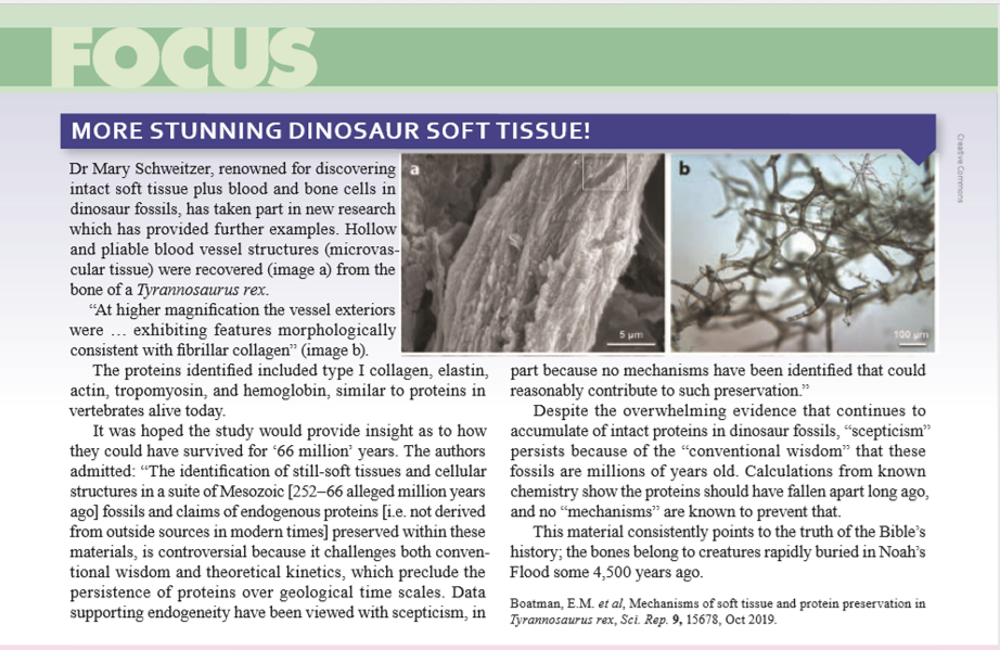 Dinosaur Soft Tissue Creation Magazine