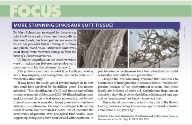 Dinosaur Soft Tissue Creation Magazine