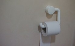 toilet paper-2588827_1920
