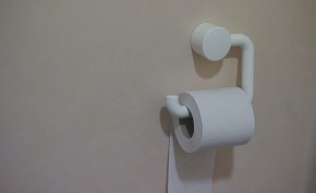 toilet paper-2588827_1920
